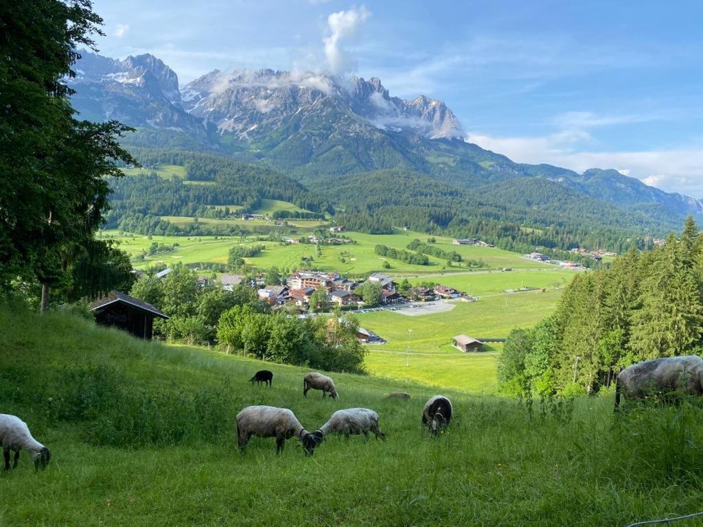 Alpen Studio Ellmau II Exterior photo